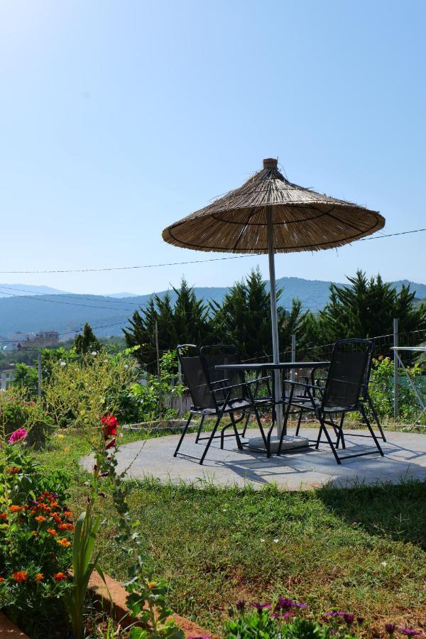 Osmanaj Holiday home *